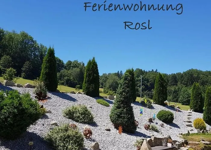 Apartament Rosl *